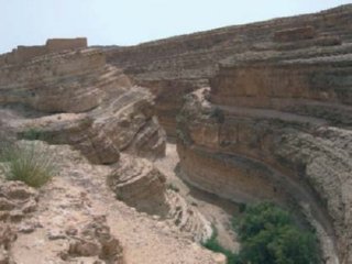 ARIDEZ 02